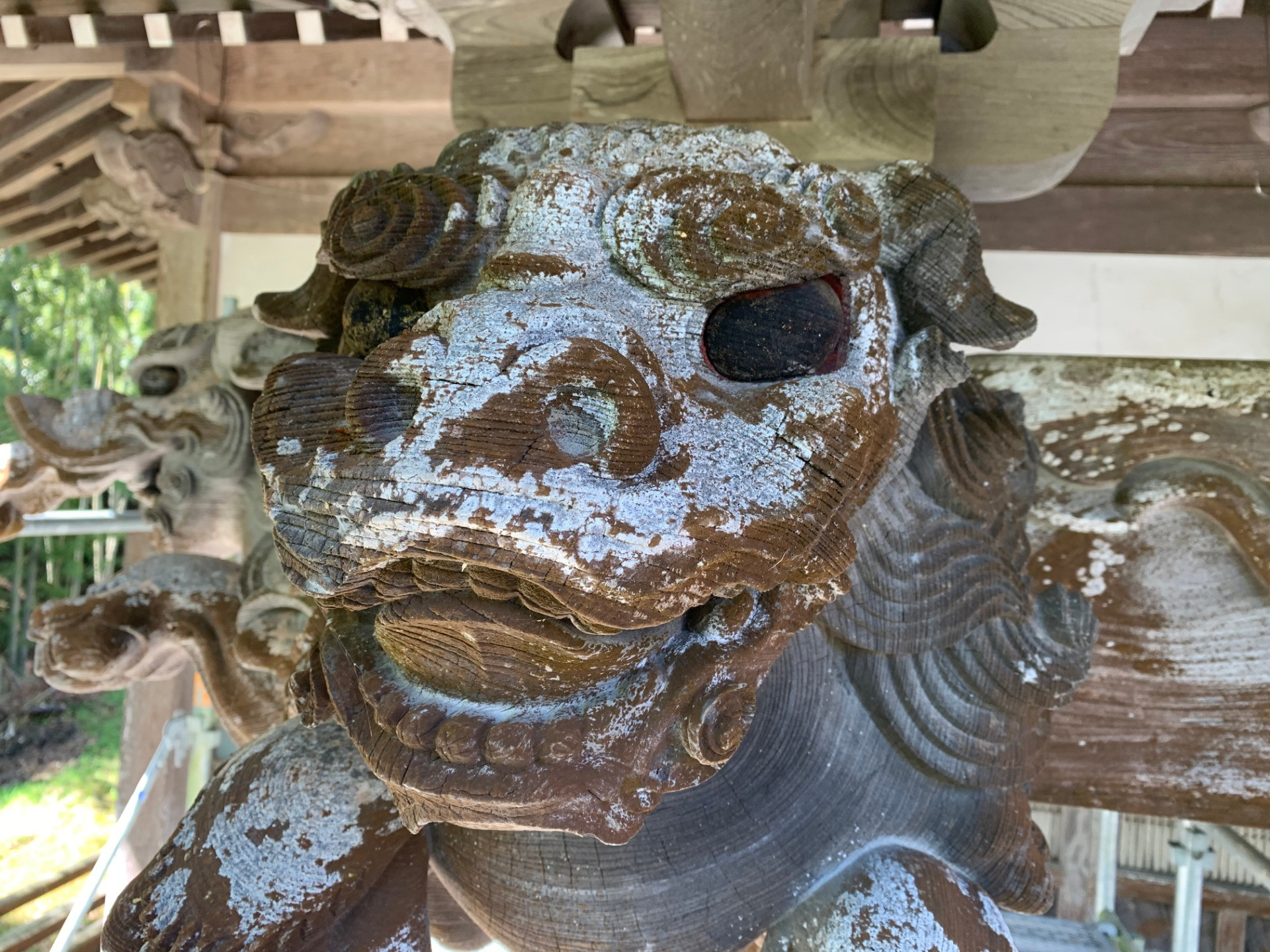 岐阜県でお寺のリペア、高圧洗浄をお探しの方はやさかまで。
